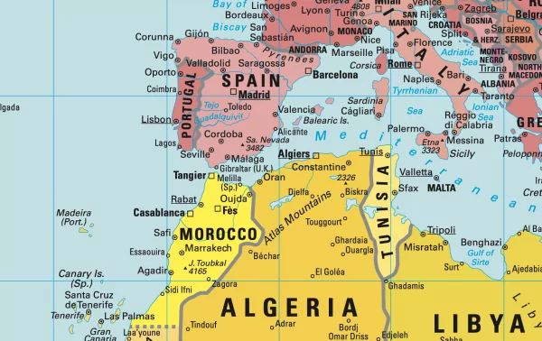 Peters Equal Area World Map (Political)